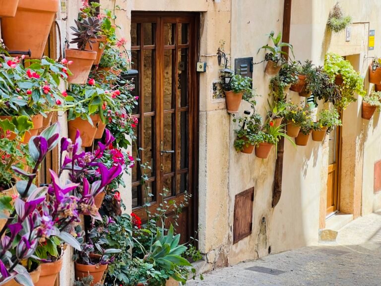 Valldemossa a Sa Foradada